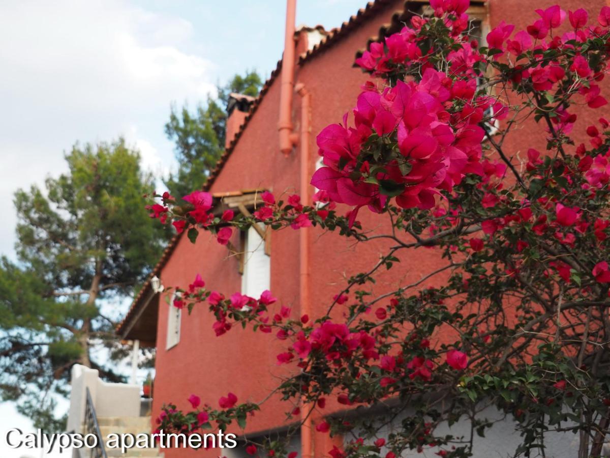 Calypso Apartments Αρτέμιδα Εξωτερικό φωτογραφία