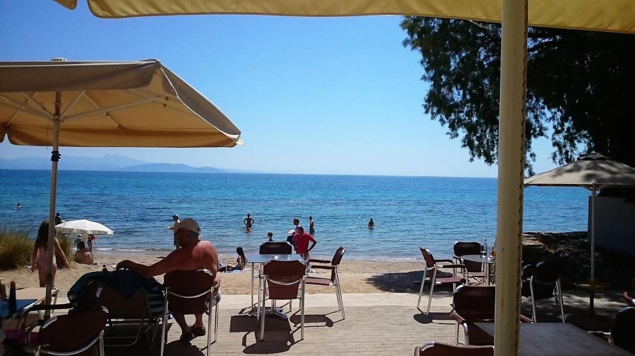 Calypso Apartments Αρτέμιδα Εξωτερικό φωτογραφία